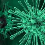 Coronavirus news round-up